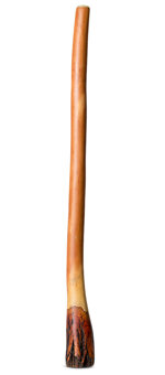Satin Finish Ironbark Didgeridoo (IB196)